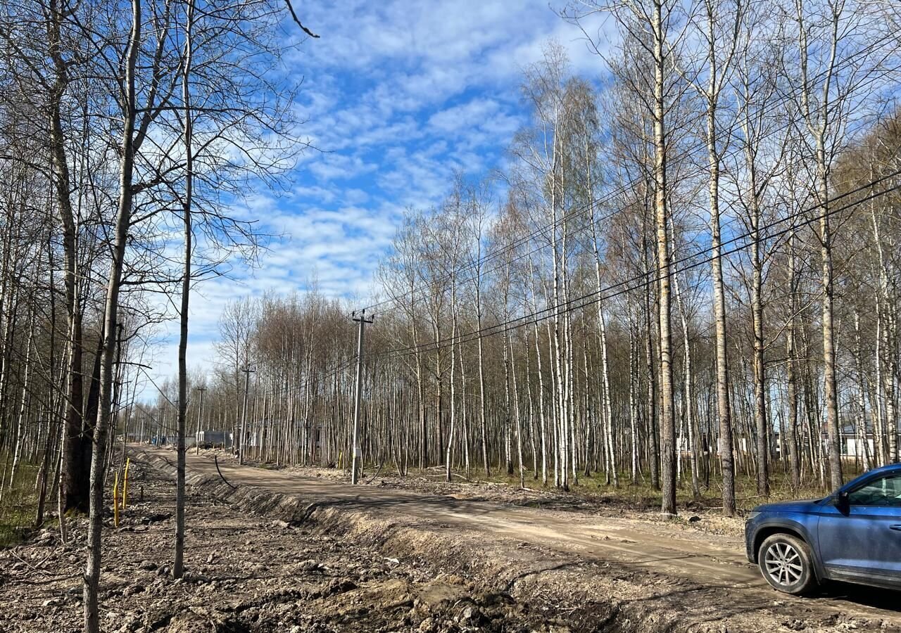 земля г Павловск р-н Пушкинский Московское шоссе, 9743 км, коттеджный пос. Павлов Скай фото 6