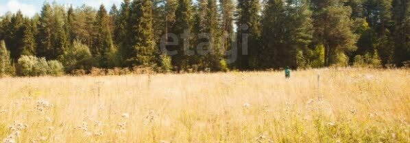 земля г Миасс п Северные Печи ул Лесная Миасский городской округ фото 4