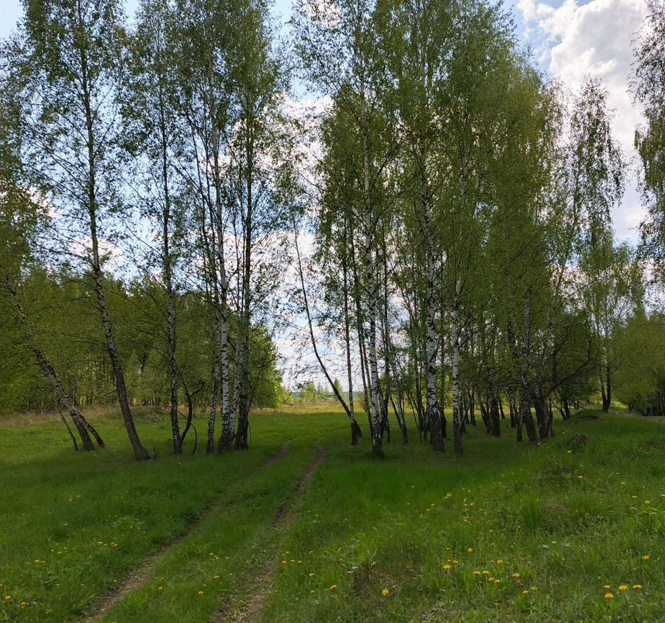 земля г Донской мкр Задонье ул Трудовая фото 1