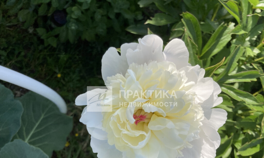 квартира г Москва п Сосенское п Коммунарка ул Бачуринская 22/3 ЖК «Коммунарка» метро Новохохловская фото 42