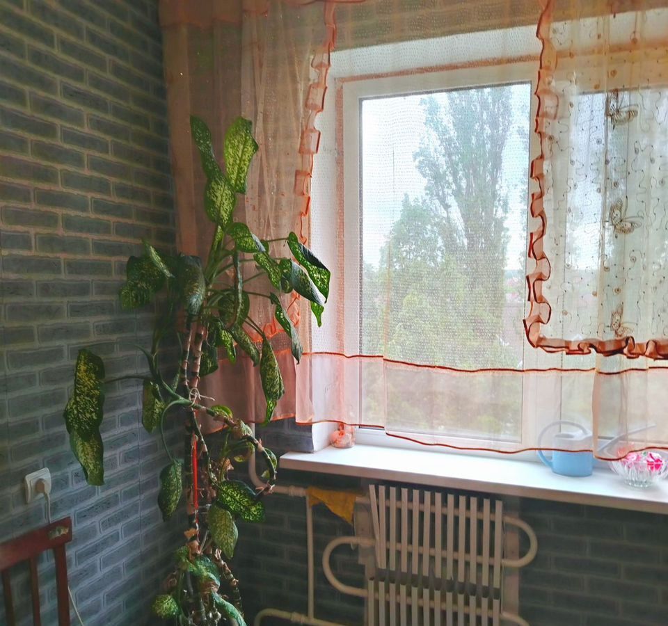 квартира р-н Яковлевский г Строитель ул 5 Августа 1 фото 1