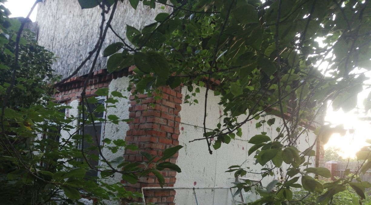 дом г Омск р-н Центральный СОСН Биолог тер., 413 фото 4