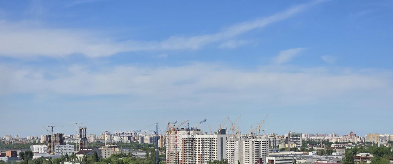 квартира г Воронеж р-н Ленинский ул Донбасская 25к/2 фото 29