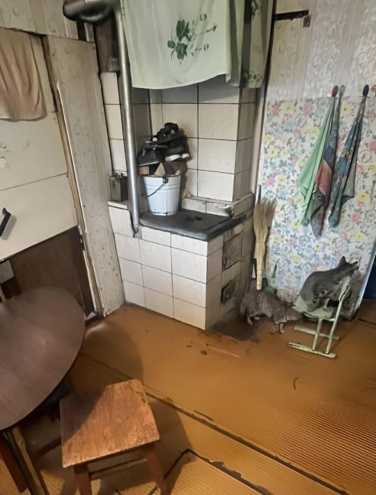 дом г Барнаул р-н Центральный ул Южная 66а фото 12