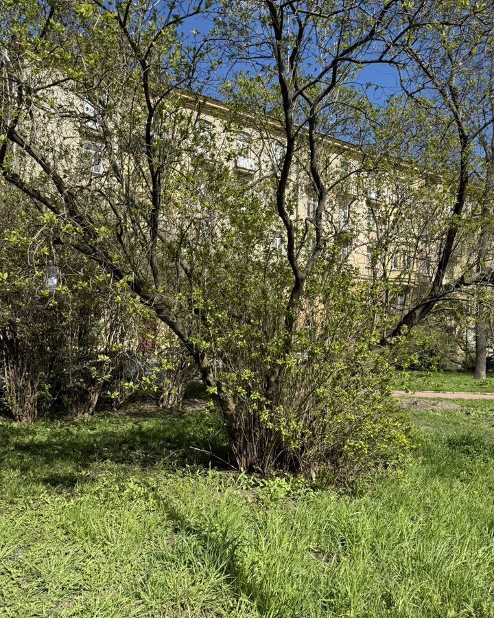комната г Санкт-Петербург метро Кировский Завод ул Васи Алексеева 16 фото 3