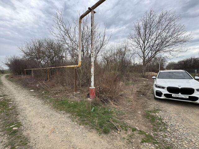 земля Курганинское городское поселение, Абрикосовая улица фото