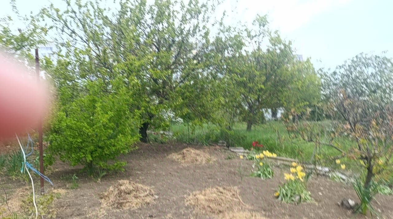 земля г Керчь Залив садово-огороднический кооператив, ул. Миндальная фото 6