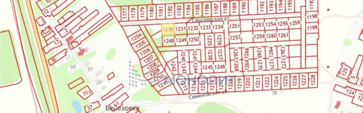 земля г Бор д Березовка (Кантауровский с/с) ул Сергеевская фото 3