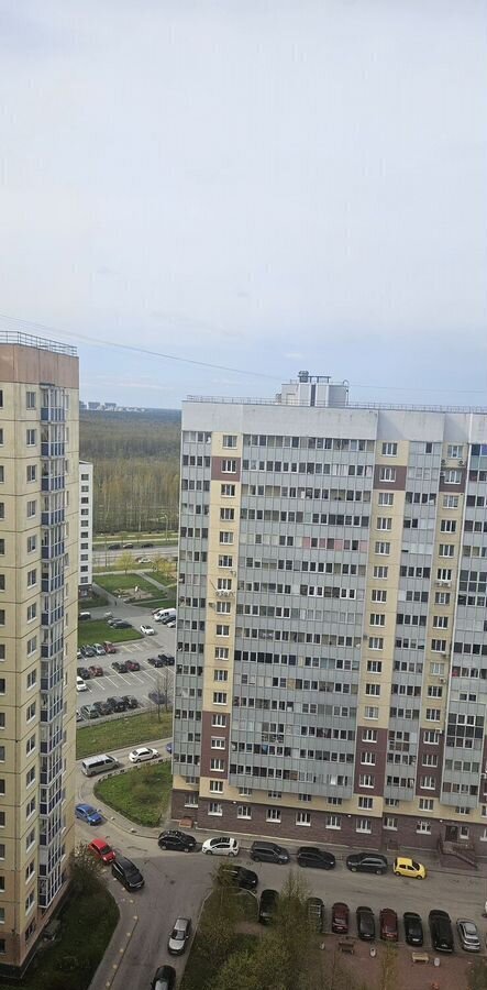 квартира г Санкт-Петербург ул Оптиков 49к/2 Беговая фото 20