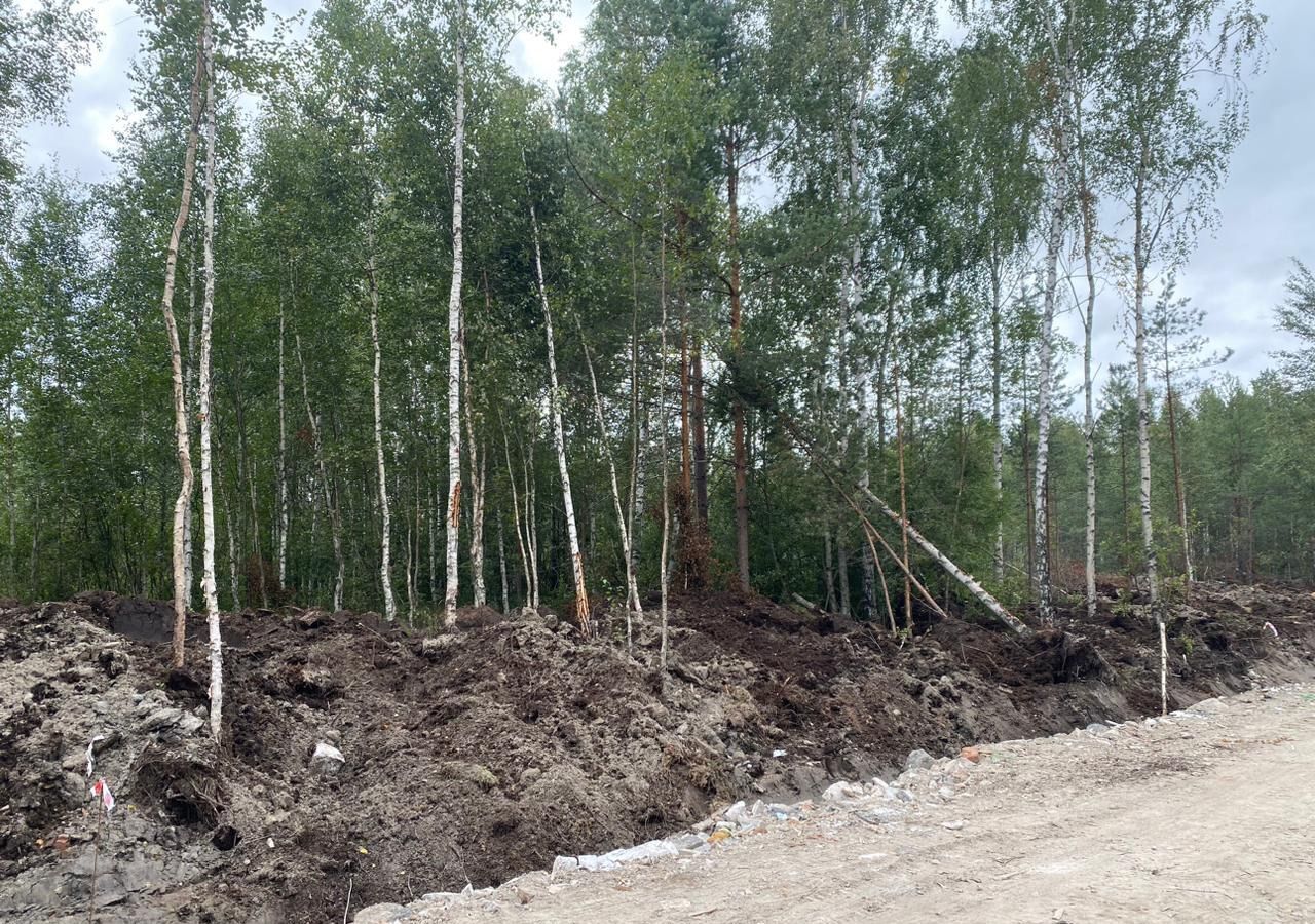 земля р-н Всеволожский г Всеволожск Дорога жизни, 13 км, Всеволожское городское поселение, территория СОСН Раздолье, Облепиховая ул фото 2