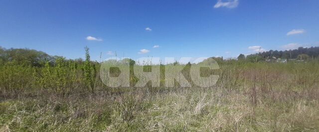 76 км, Пески, Новорязанское шоссе фото