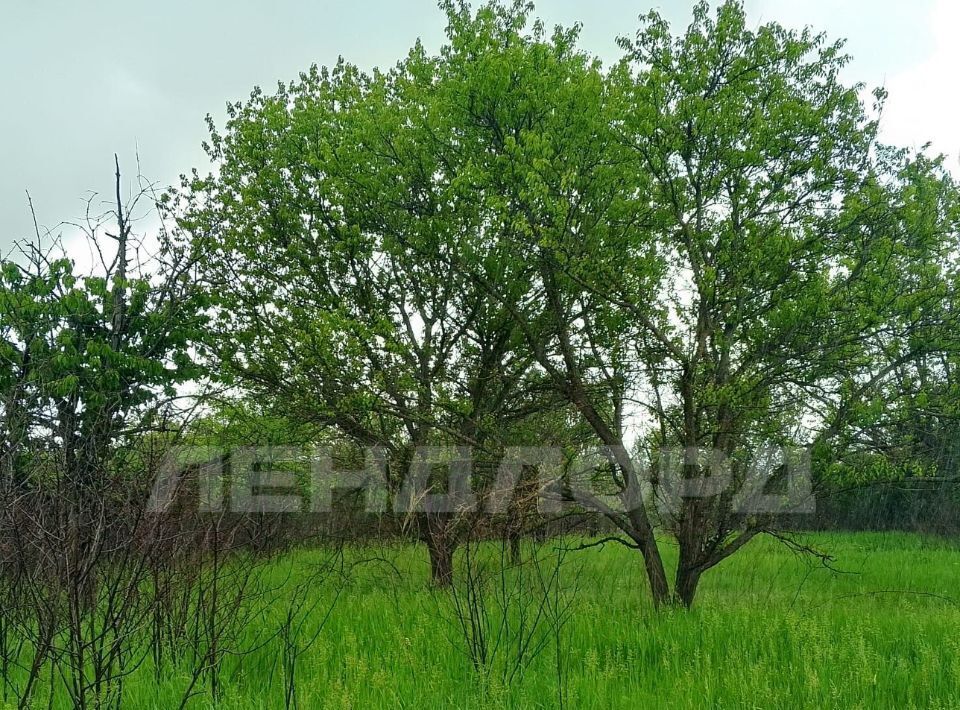 земля г Новочеркасск снт Виноградная лоза фото 3