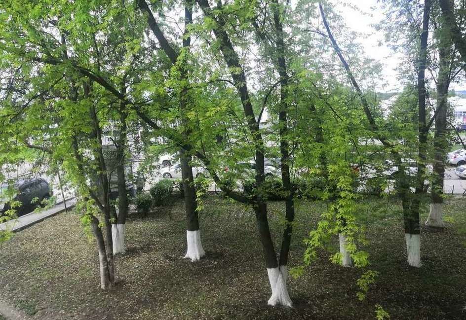 квартира г Старый Оскол мкр-н Рудничный, 13 фото 4