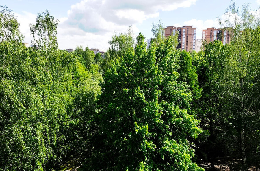 квартира г Подольск ул Юбилейная 23 Подольск фото 16