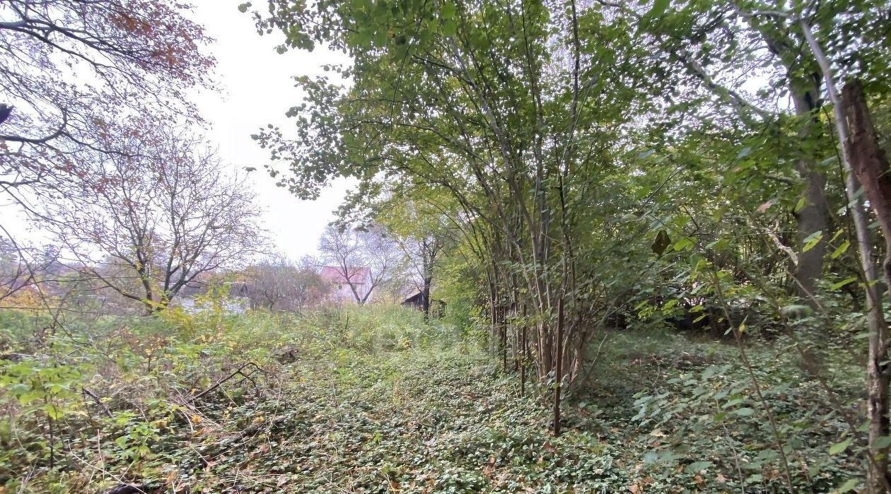 земля г Калининград р-н Центральный ул Сержанта Бурыхина 35а фото 7