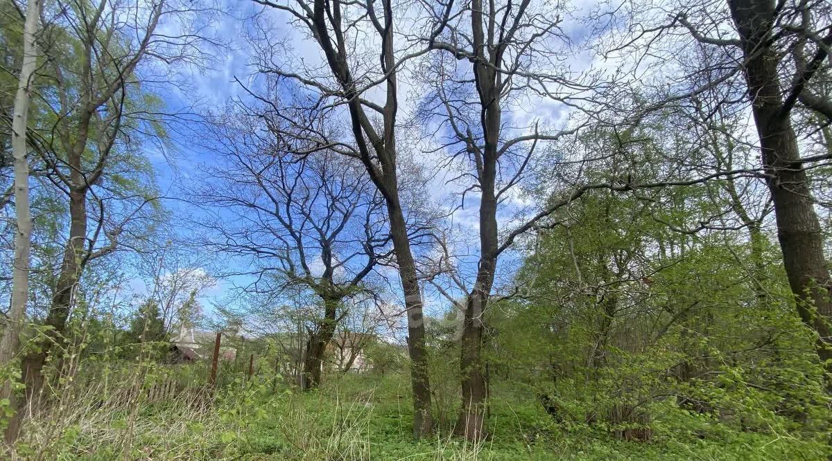 земля г Калининград р-н Центральный ул Сержанта Бурыхина 35а фото 41