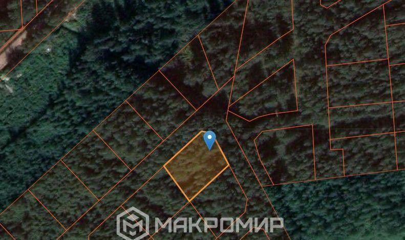 земля г Павловск метро Купчино ул Мичурина фото 4