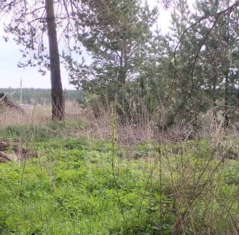ул Набережная фото