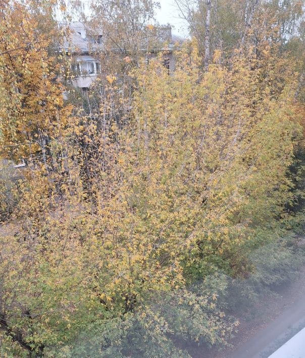квартира г Иваново р-н Фрунзенский ул Ташкентская 83а фото 10