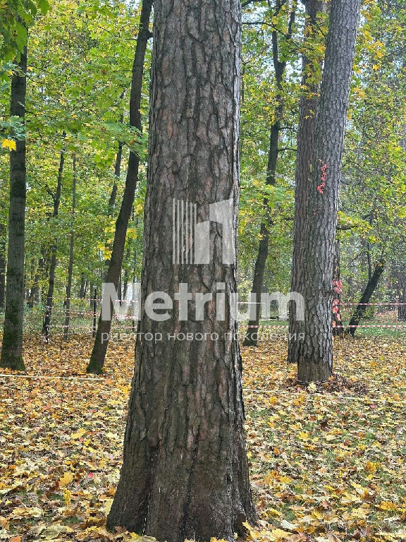 земля городской округ Богородский г Электроугли мкр Вишняковские Дачи фото 2