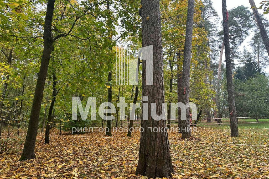земля городской округ Богородский г Электроугли мкр Вишняковские Дачи фото 12
