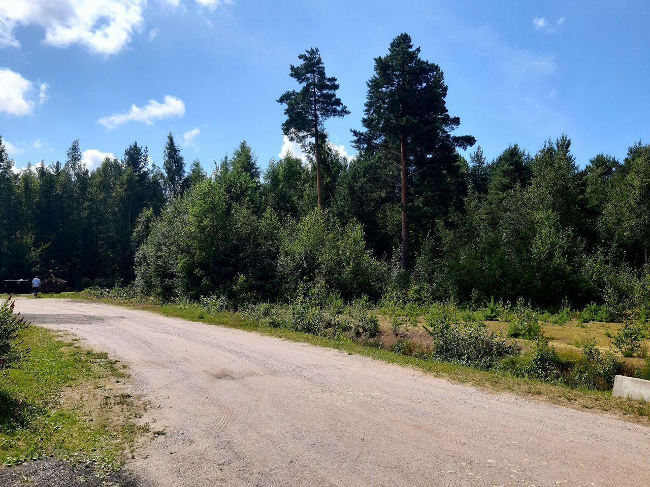 земля г Сосновый Бор ул Космонавтов 26 Сосновоборский городской округ, 13 Микрорайон фото 6