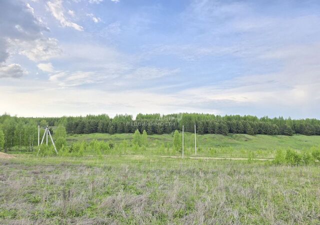ул Зеленая Республика Татарстан Татарстан, Альдермышское сельское поселение, Казань фото