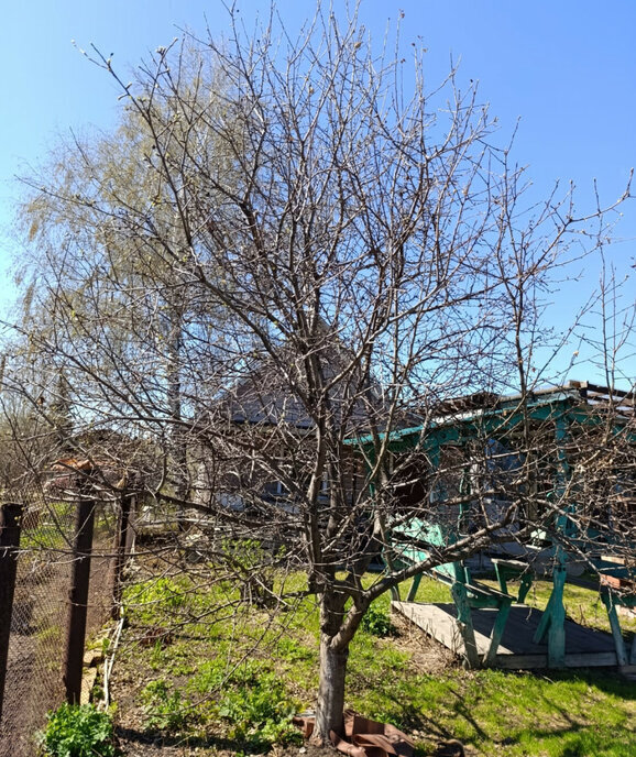 дом г Новосибирск р-н Первомайский Октябрьская снт Весна фото 21