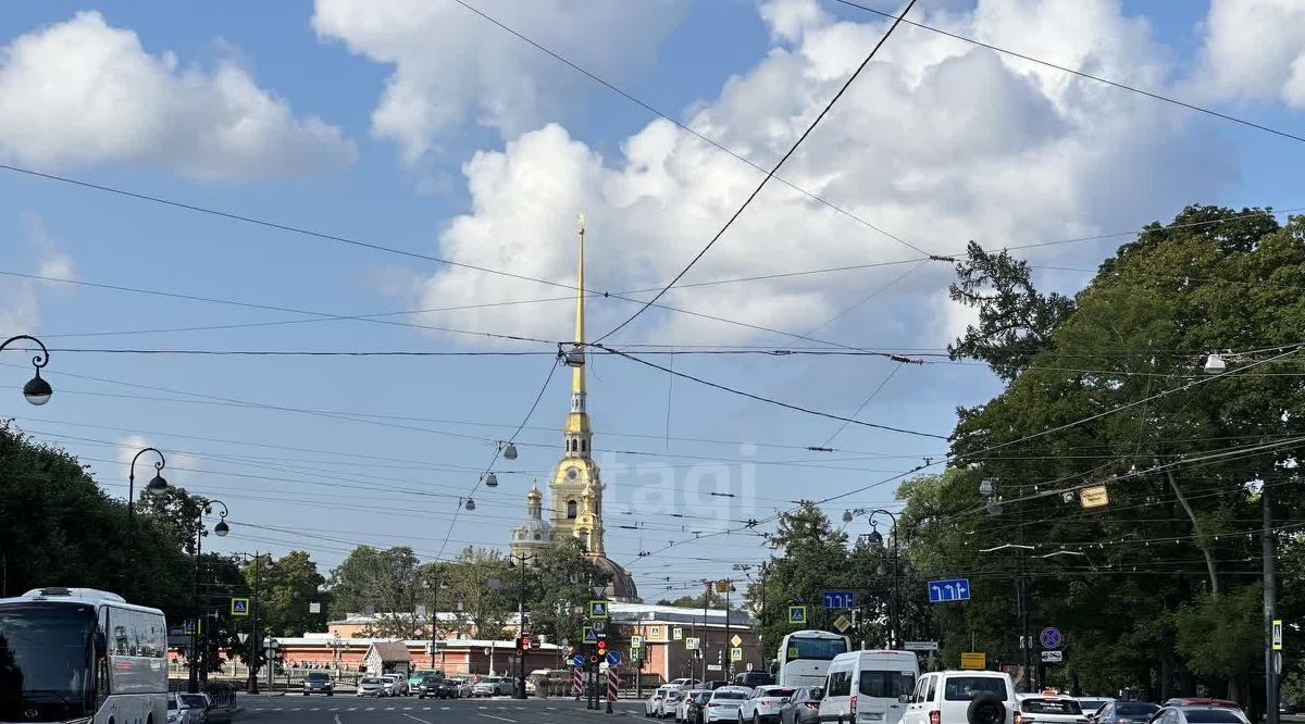 квартира г Санкт-Петербург метро Горьковская ул Куйбышева 26к/2 фото 27