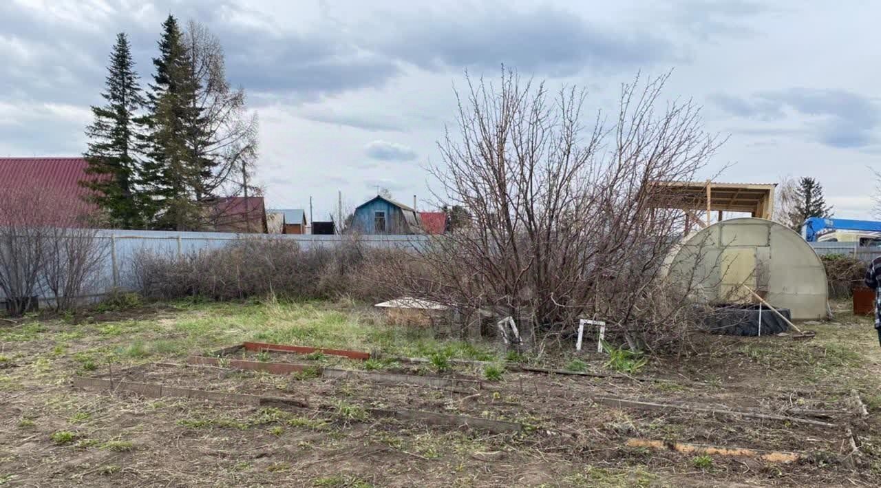 земля г Омск р-н Центральный СОСН Калинка тер., аллея 7-я, 156 фото 12