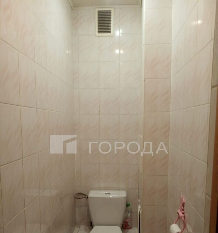 квартира г Новосибирск р-н Ленинский ул Костычева 19 Площадь Маркса фото 9