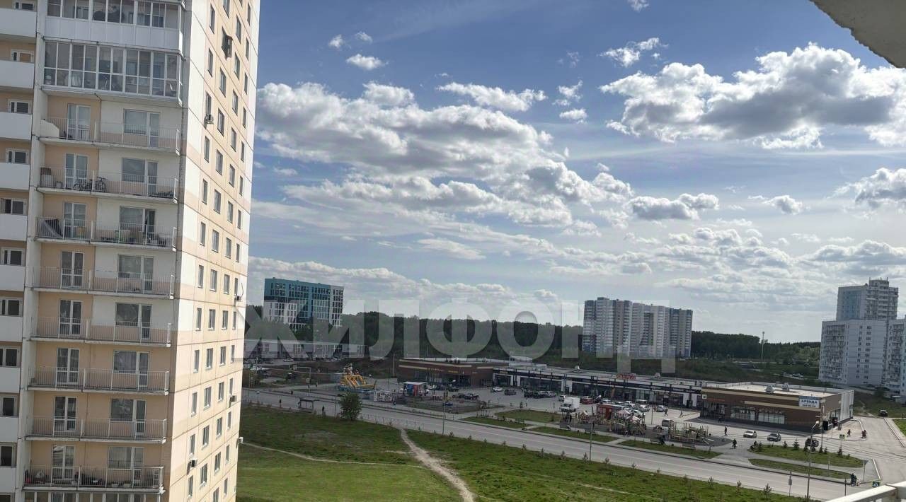 квартира г Новосибирск ул Виктора Шевелева 18/1 Площадь Маркса фото 5