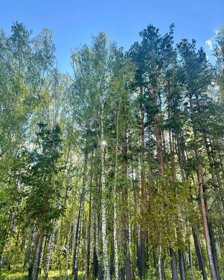 земля г Полевской с Курганово мкр-н Зуброво, Екатеринбург фото 1