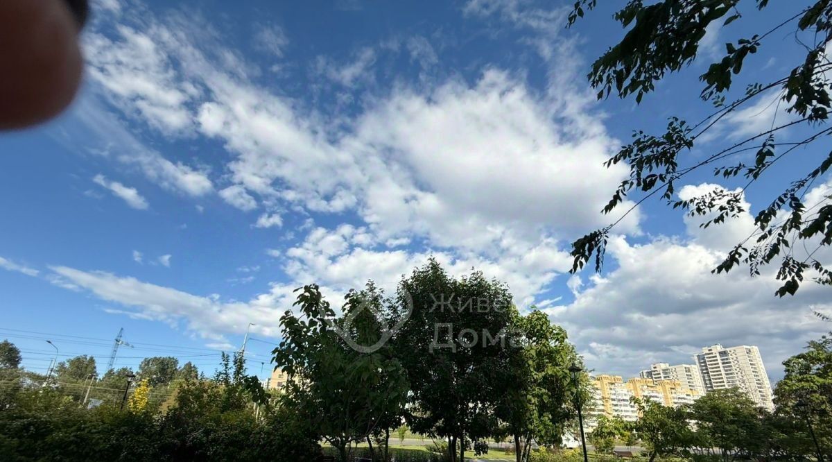 квартира г Волгоград р-н Дзержинский пр-кт Маршала Жукова 165 фото 12