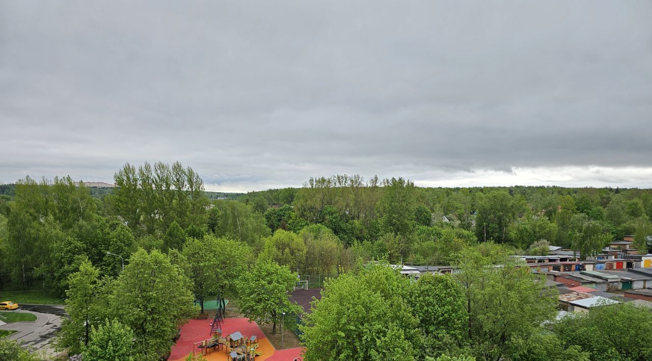 квартира г Москва п Внуково метро Аэропорт Внуково ул 2-я Рейсовая 25а фото 25