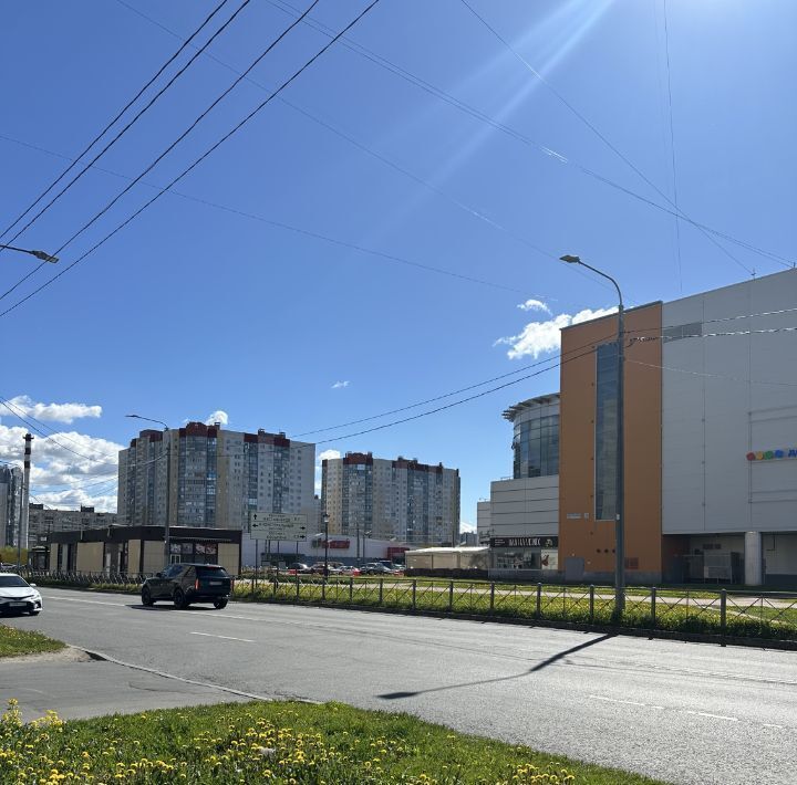 квартира г Санкт-Петербург метро Ладожская пр-кт Энтузиастов 22к/1 фото 10