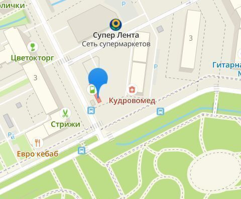 торговое помещение р-н Всеволожский г Кудрово пр-кт Европейский 2д Заневское городское поселение фото 4