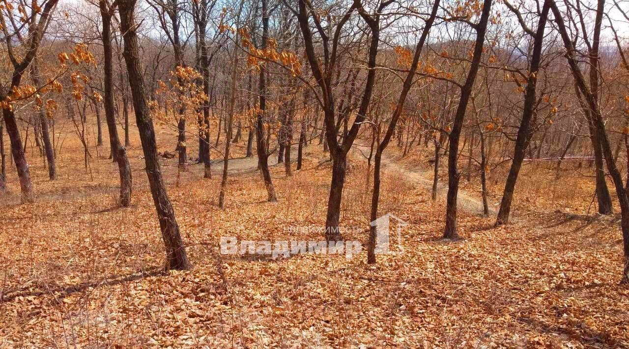 земля г Находка снт Коммунальник ул Перевальная фото 1