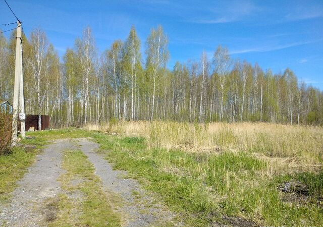 земля р-н Центральный снт Липовый остров ул Западная 2-я фото