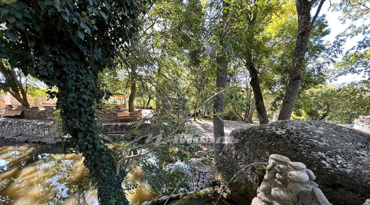 земля г Алушта с Лучистое ул Гостиная фото 4