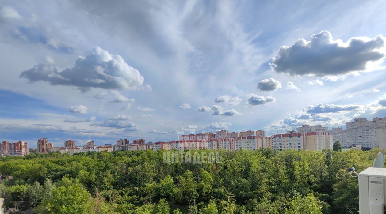 квартира г Воронеж р-н Коминтерновский ул Шишкова 99 фото 25