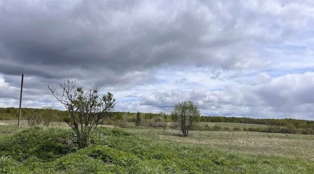 д Куземки Чипляево с пос фото