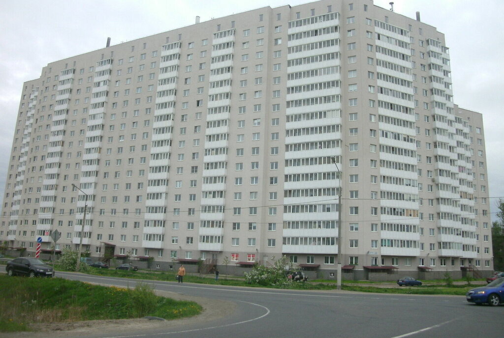 свободного назначения г Колпино ш Вознесенское 49к/2 метро Рыбацкое фото 3