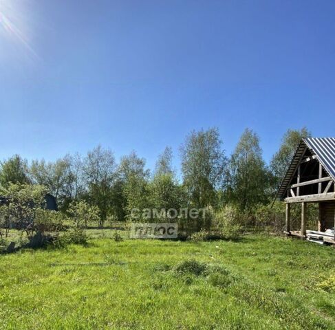 земля 12, Бор городской округ фото