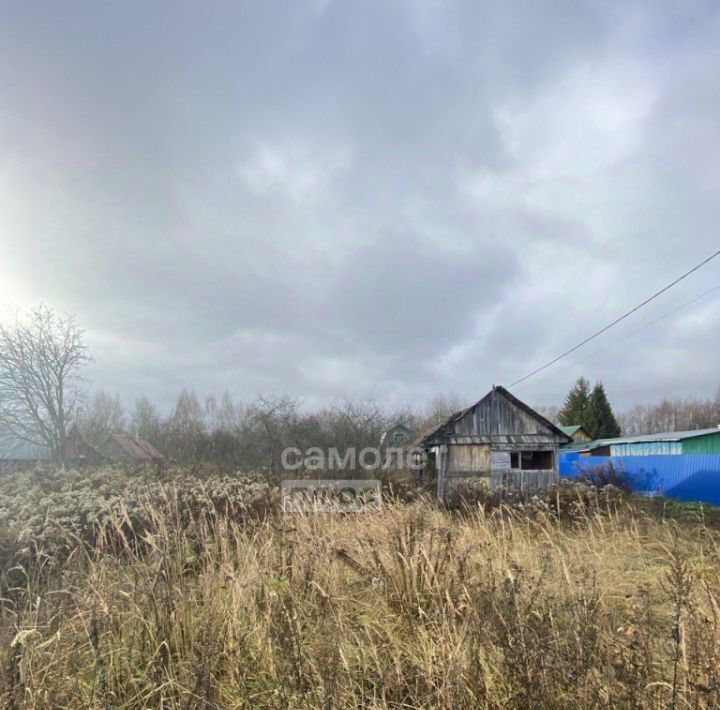 земля г Бор с Кантаурово (Кантауровский с/с) ул Кооперативная фото 1