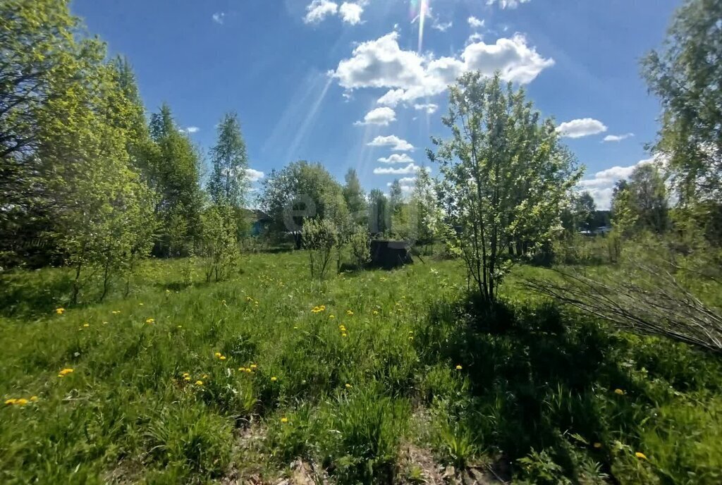 земля р-н Шарьинский г Шарья д Алешунино пер Алешунинский фото 3