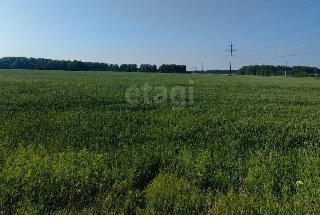 офис г Тюмень Нягань, Нижнетавдинский район фото 4