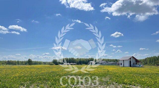 р-н Октябрьский ул Берестяная фото