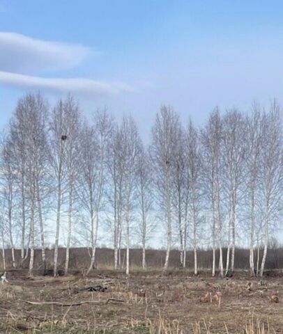 р-н Центральный снт Салют ул Яблоневая фото