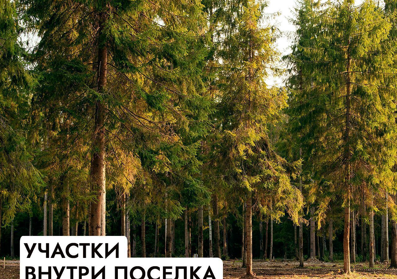 земля г Истра Павловская Слобода, 25 км, коттеджный пос. Монтевиль, Новорижское шоссе фото 12